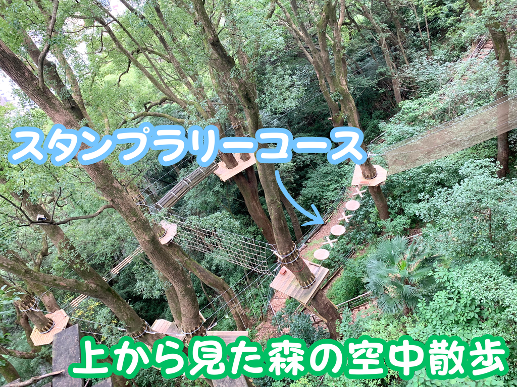 森の空中散歩とスタンプラリーのコース