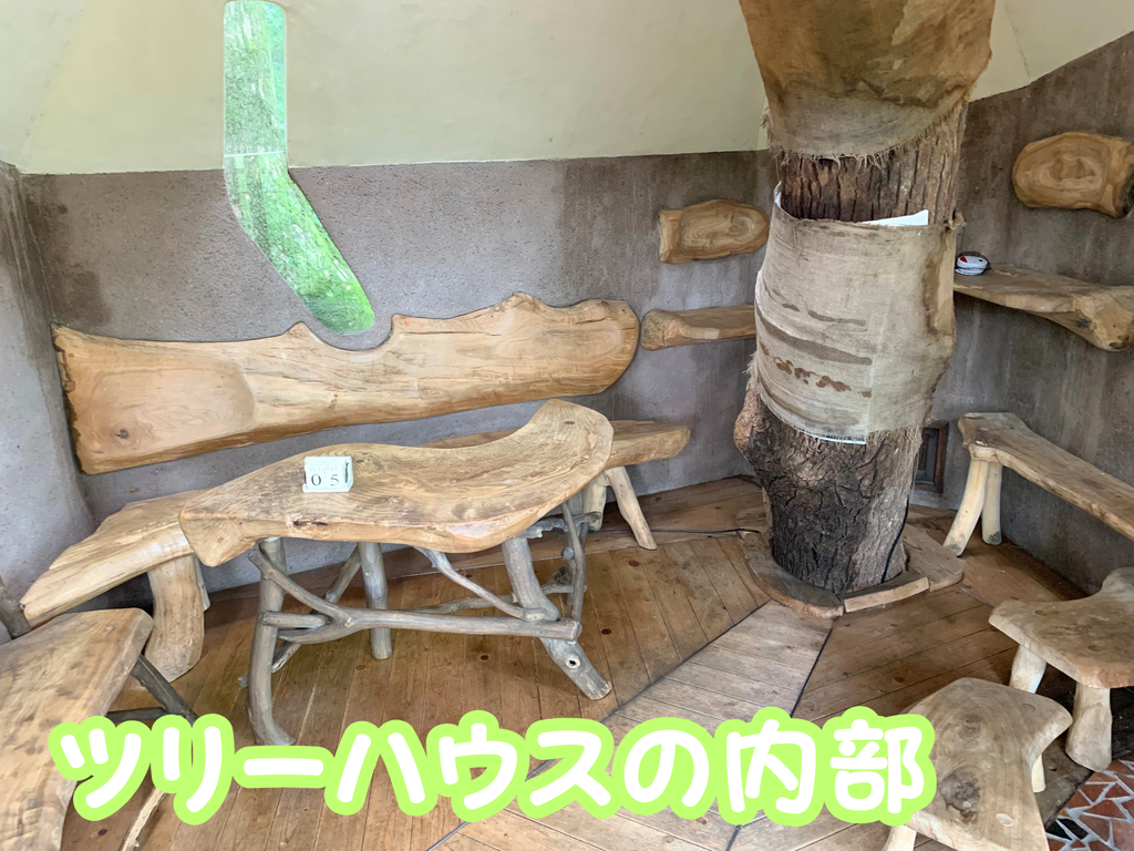 ツリーハウスの内部