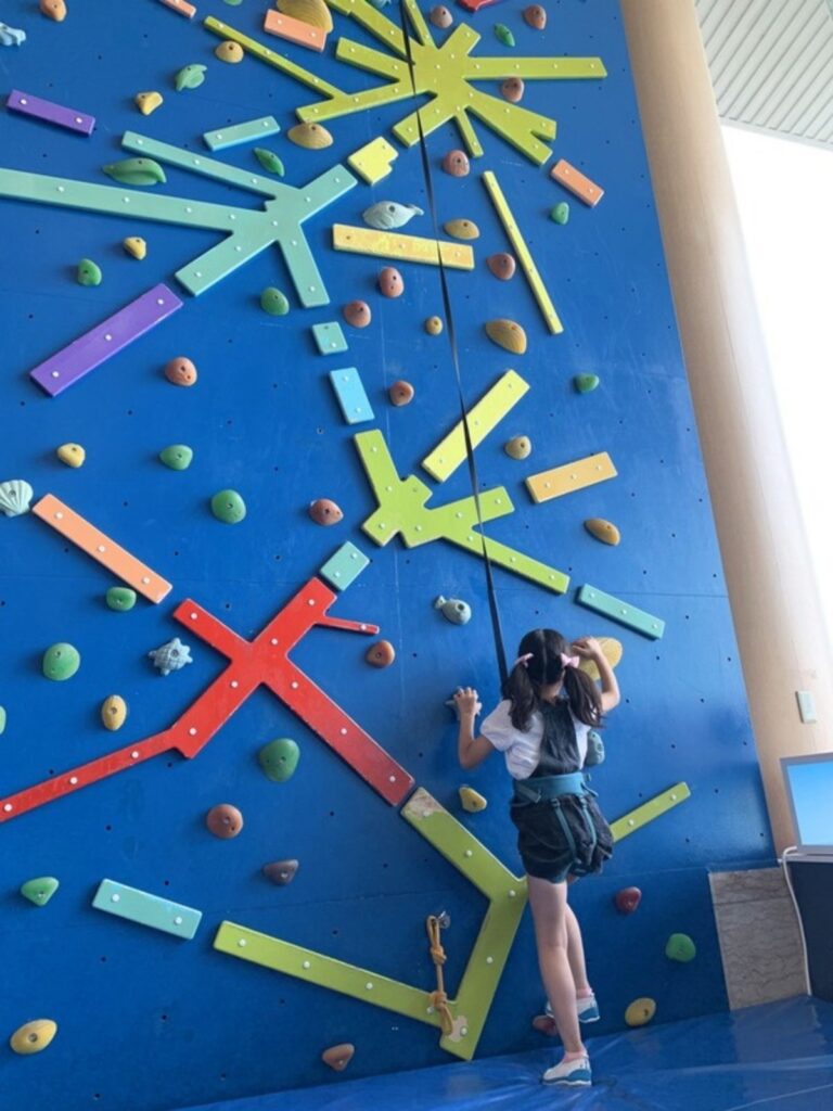 親子の北壁のクライミングウォール